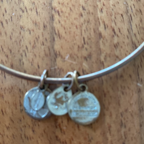 Alex and Ani set of 5 vintage charm bracelets - Picture 5 of 9